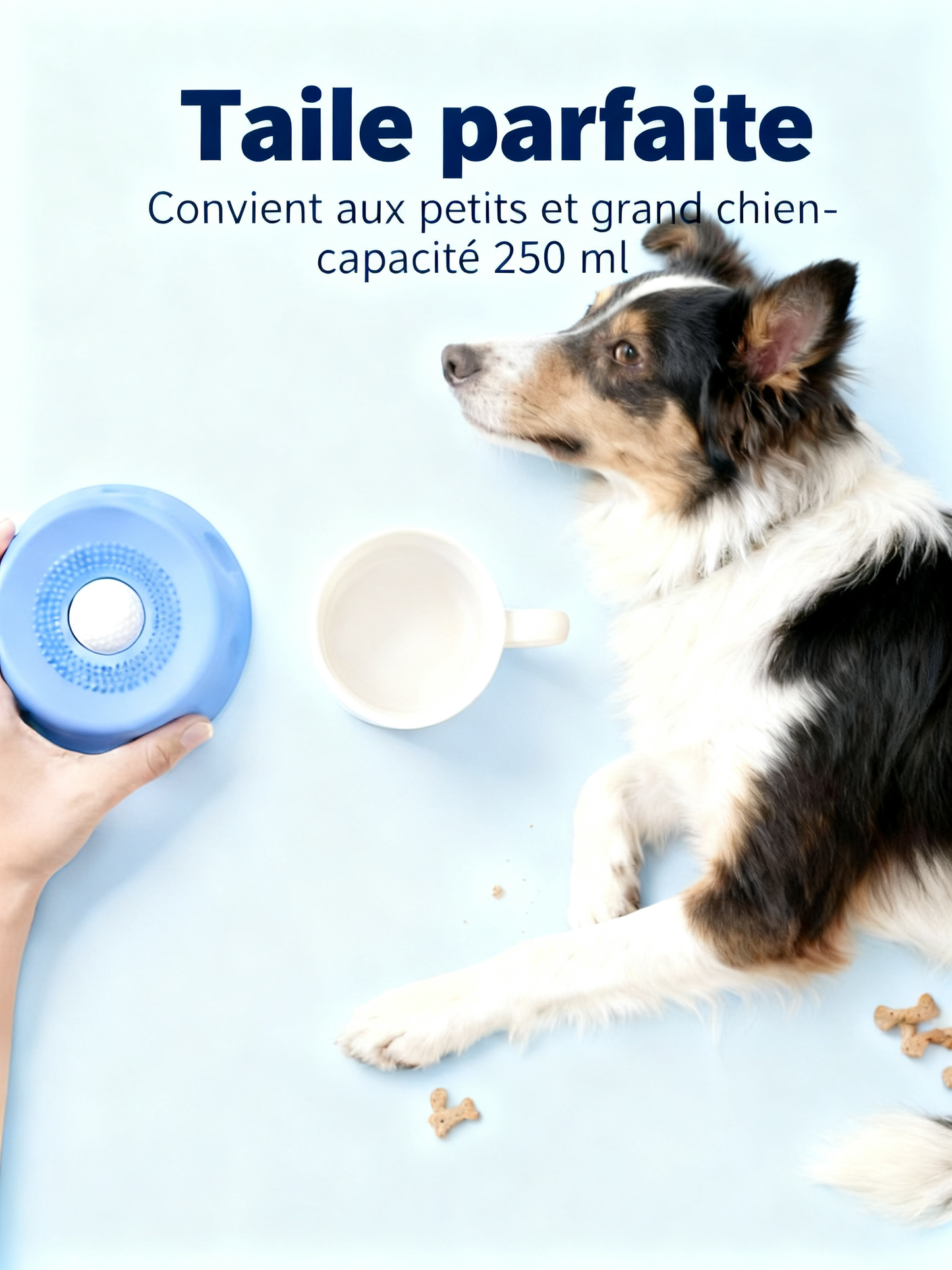 Bol à lécher Zoocalm