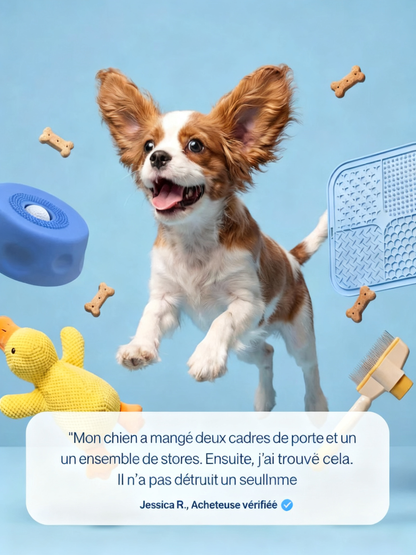 Bol à lécher Zoocalm