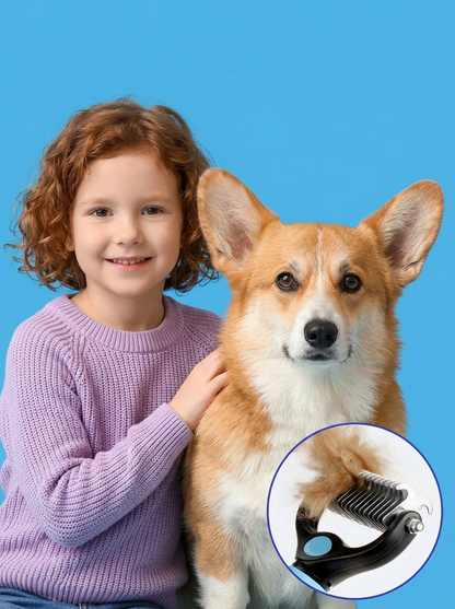 Brosse de toilettage pour animaux de compagnie